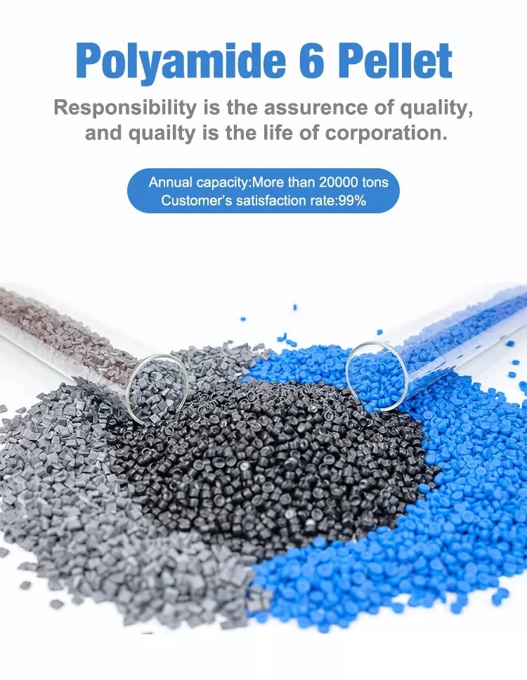 Nylon 66 Raw Material Supplier Customize Plastic Granular Pellet PA6
